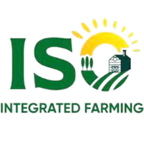 slazzer preview g8ert